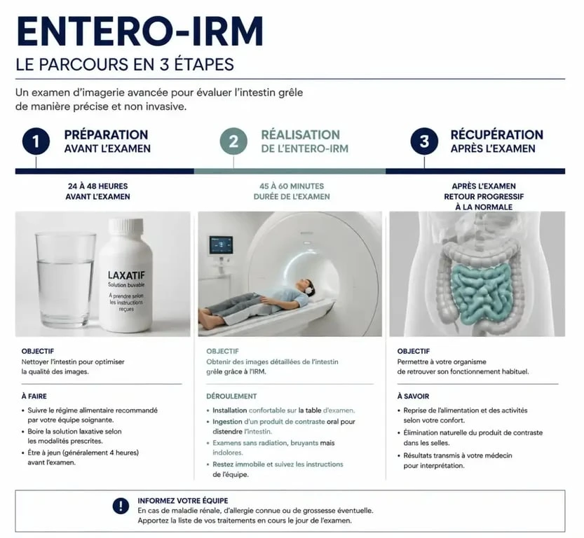 Infographie du déroulement d'une entéro-IRM : préparation, examen et résultats